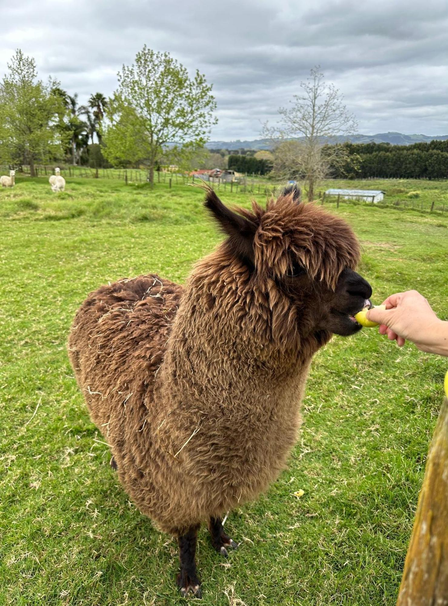 Bycroft Lodge Karaka Dış mekan fotoğraf